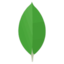 MongoDB